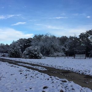 Meet your Posher, Brandi